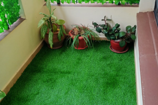 Grass-Carpets.png
